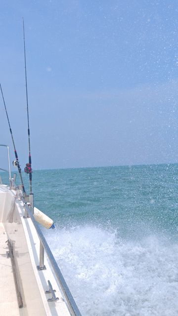 IMG_20260709_132432.jpg
